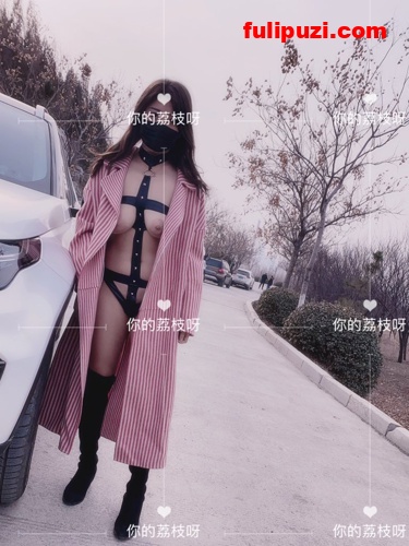 抖音网红大奶反差婊【你的荔枝呀】推特硬核福利！ 户外捆绑露出狗链调教【95P+20V/107M】