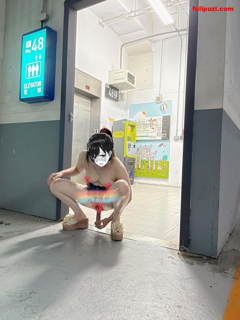 推特台湾骚货喷水金鱼超强人前露出 电梯自慰&户外人前劈腿炮机【120P+10V/68M】
