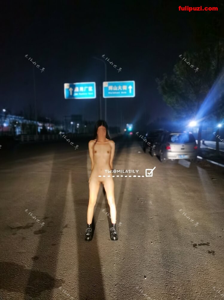 推特极品母狗【米拉de世界】 全裸和主人逛遍大街小巷【55P+40V/237M】