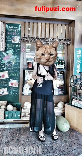 tumblr绝版系列：宝岛小母狗更会骚？dcmg-jolie商场餐厅大胆人前露出【132P+13V/72M】