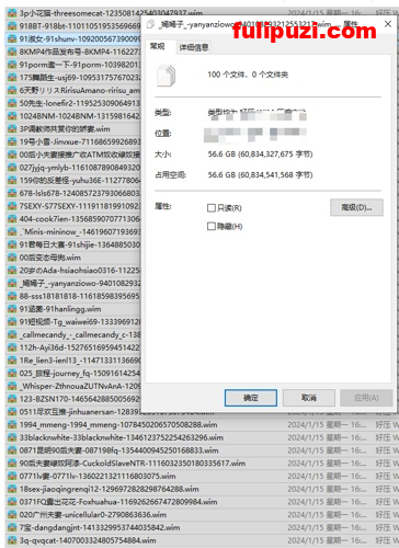 福利铺子独家首发！推特博主100套合集系列第1弹【25000P+9600V/56G】
