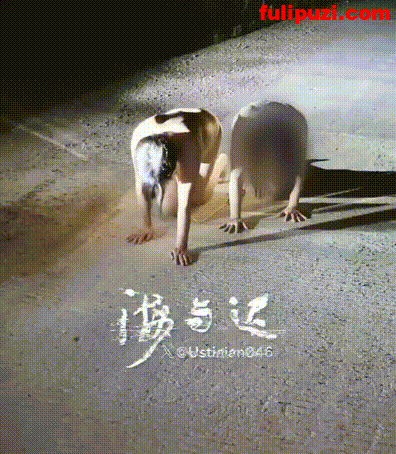 顶级调教大神【海与迟】SVIP福利 多个两家小少妇被拿下花式玩弄【241P+101V/1.13G】