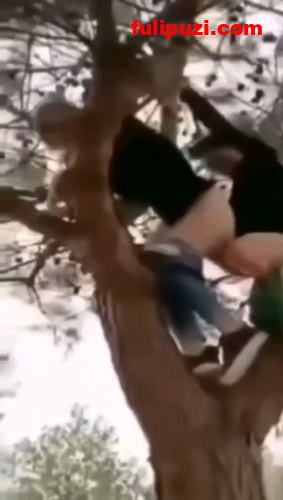 推特猎奇啪啪啪小视频系列2 神人睾丸挂人荡秋千断腿大哥身残志坚！【463V/2.76G】