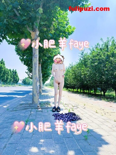 极品贱婊子【faye小肥羊】推特超强露出 雪地露大奶&肛门放烟花【110P+20V/90M】