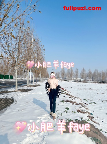 极品贱婊子【faye小肥羊】推特超强露出 雪地露大奶&肛门放烟花【110P+20V/90M】