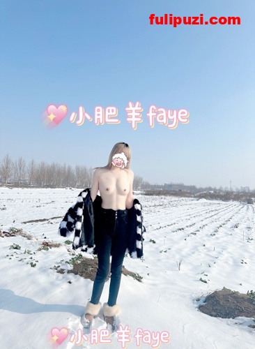 极品贱婊子【faye小肥羊】推特超强露出 雪地露大奶&肛门放烟花【110P+20V/90M】