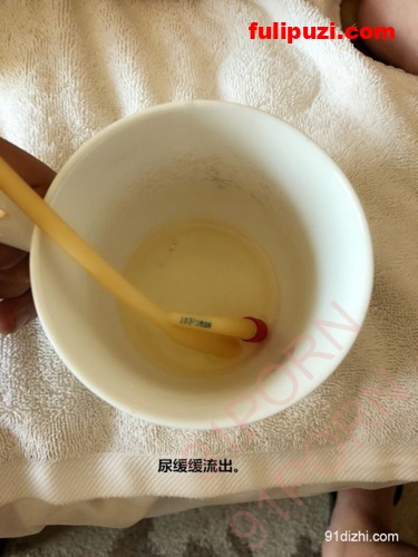 tumblr绝版系列：大博主debugtool来袭！海量诱人视图包你撸射【5300P+50V/1.87G】