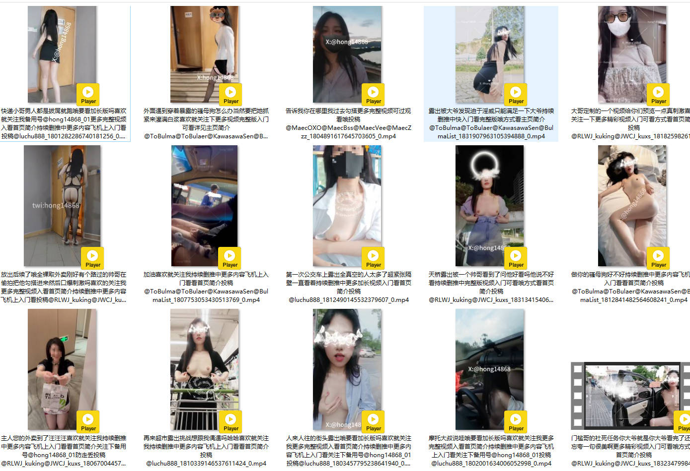 推特反差医生【hong14868】淫荡露出 社死任务抱起M腿骚穴对着晨练大叔【33P+110V/202M】