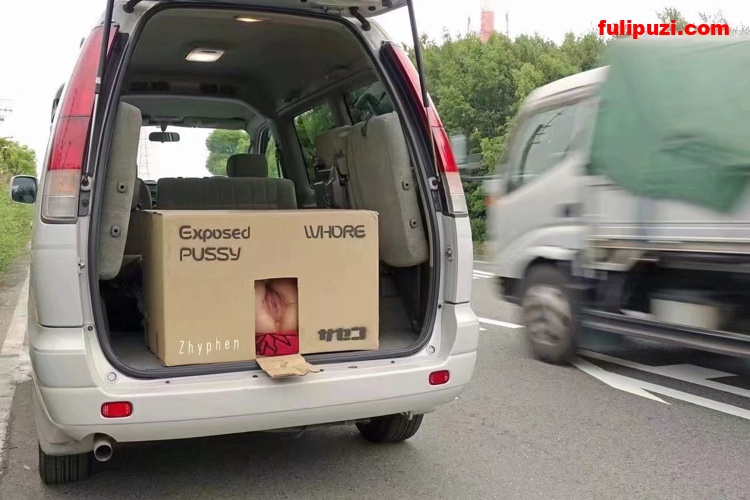 詹姆斯球衣露出+纸箱放置露逼！ 推特极品反差婊【重庆小婊妹】日常私拍福利【60P/18M】