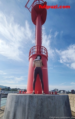OnlyFans蜜桃臀丝袜美腿机车女郎韩国网红dami_daa福利合集【328P+123V/34G】