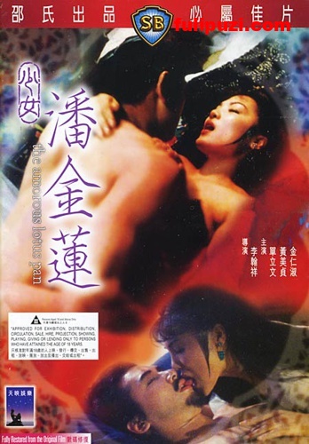 是你的童年的记忆吗？香港经典三级电影回顾系列100部打包合集【47G】
