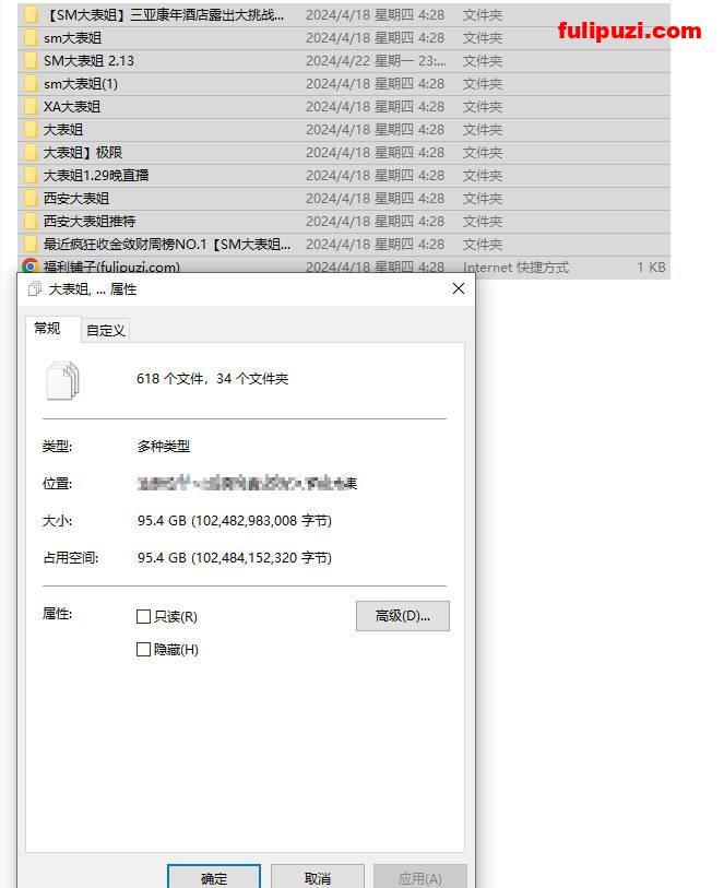 东北浪女人气网黄！西安大表姐福利大合集【415P+162V/95G】