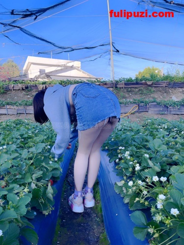 给劲！全裸露出水桶乳夹叮当作响！推特人气小母狗露点淫荡露出私拍【135P+25V/206M】