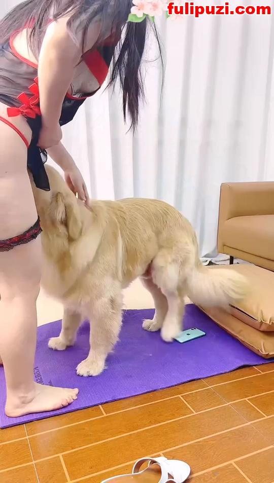 这回真是被狗操了！抖音香香公主被爱犬金毛狂插【9V/6.35G】