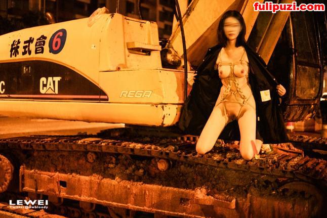 重磅首发！ 推特人体摄影师100套合集【134000+6800V/67G】