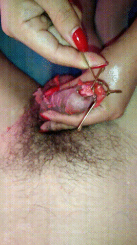 重口慎入！潘多拉滴盒子已打开 马眼滴蜡高跟鞋插马眼各种终极极限虐阳调教【376V/46G】