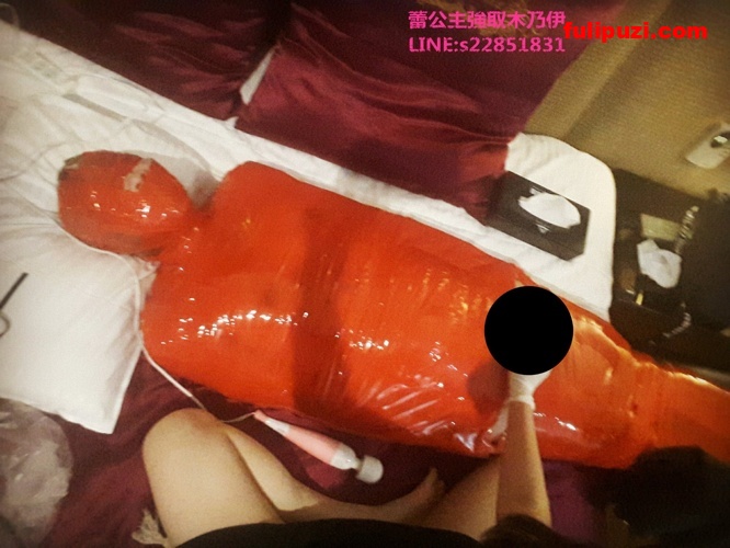 台北SM女王蕾公主推特重度调教 精液敷脸圣水灌肠膀胱注射【410P+260V/2.92G】