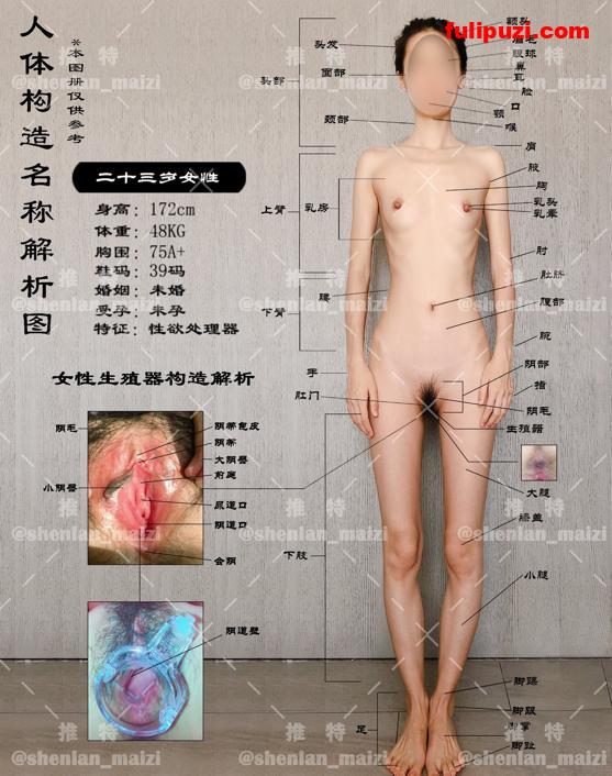 推特极品浪女【shenlan_maizi】淫荡自拍 私处纹身裸体福字恭贺新春【314P+36V/228M】