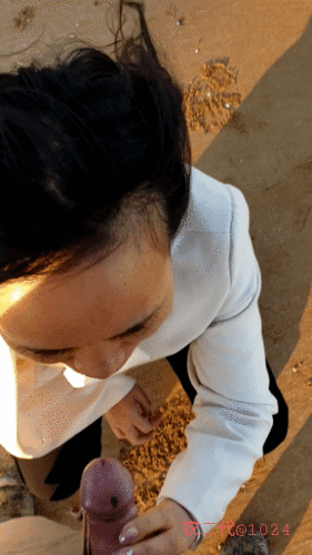 海滩夕阳完美后入！ 草榴大神【农二代】与女友、情人、娇妻的性福生活【1032P/2.41G】