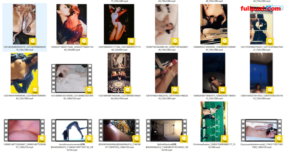 推特知名人体模特【张拍拍】禁欲系高冷大尺度写真【330P+176V/964M】